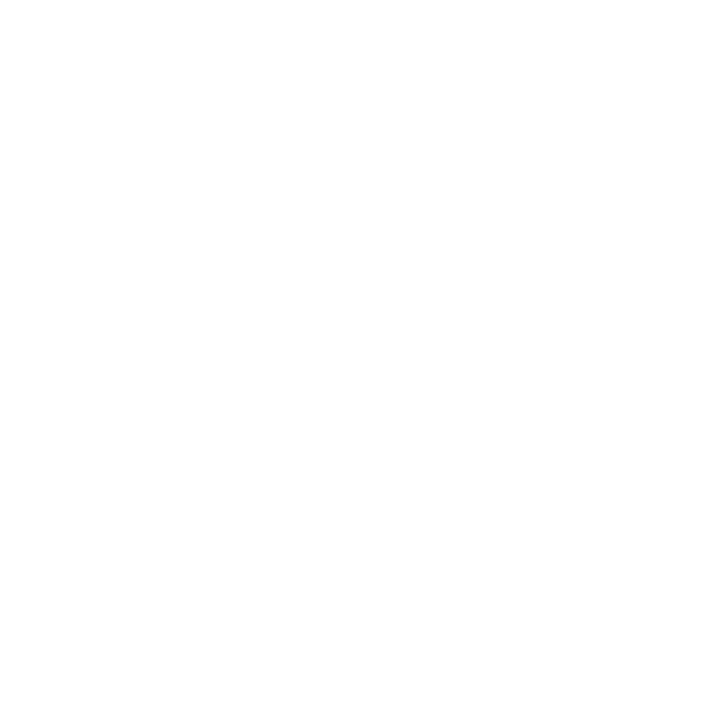 divi logo